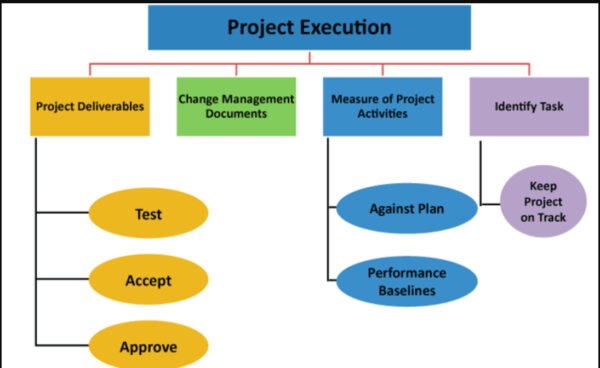 Ejecución del proyecto